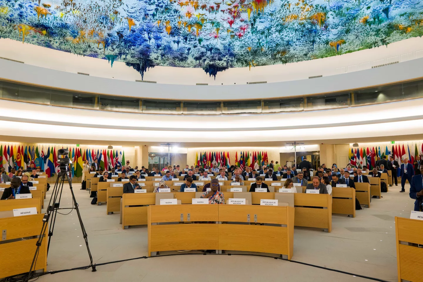 ILC 2024 plenary room Palais des Nations Geneva